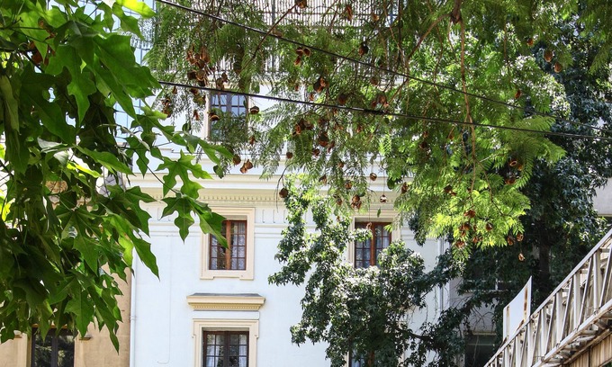 Bellas Artes Hotel | Lucia Agustina Hotel Boutique