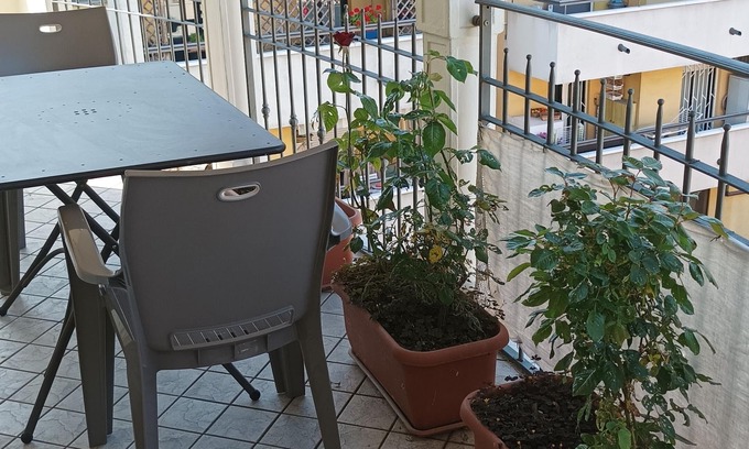 Rimini Apartment | Luna Apartment