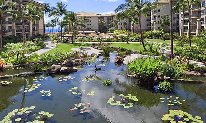 Lahaina Resort | Luxe Westin Kaanapali Ocean Resort,Sleep 4, full resort access. STEEP DISCOUNT !