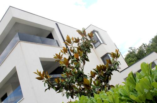 Vantacici Apartment | Luxury apartments Aronia