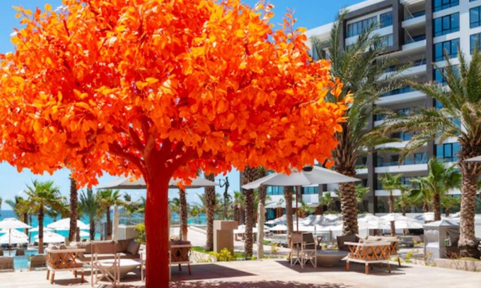 Rancho Cerro Colorado Apartment | Luxury Awaits: Stunning 2-Bedroom Ocean View Suite in Los Cabos Paradise