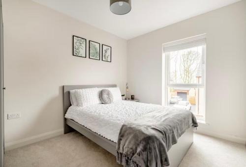 Donaghadee House | Luxury Double Room in High Trees
