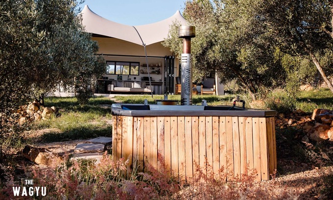 Paarl Cabin | Luxury Farm Stay Surrounded by Vineyards, Almonds, Wagyu Cattle & Mountain Views