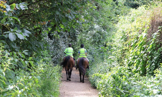 Henfield House | Luxury Home, Perfect Retreat for Couples, Shared Walled Garden, Village Setting