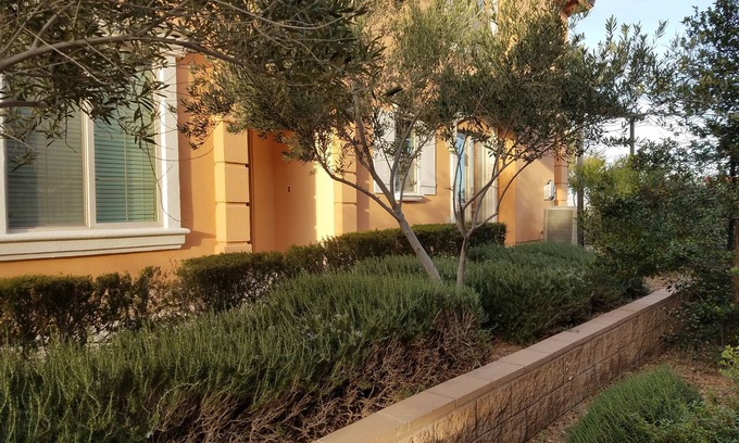 Lake Las Vegas Condo | Luxury Lake Las Vegas Condo 2 Bedroom w/Amenities