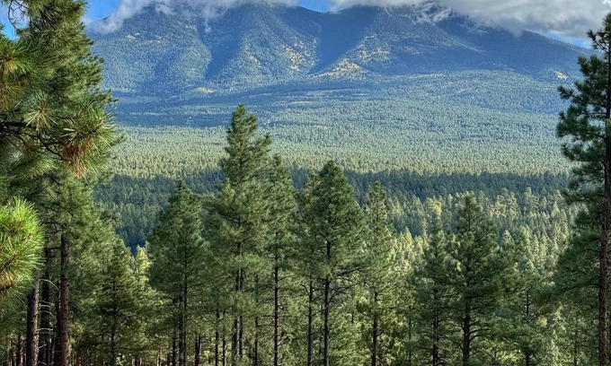 Flagstaff Cabin | Luxury Log Cabin with Mountain Views on 2.5 Acres