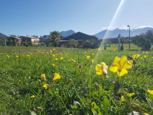 Tulbagh Other | Luxury Pre-Pitched 2-4 Person Tent