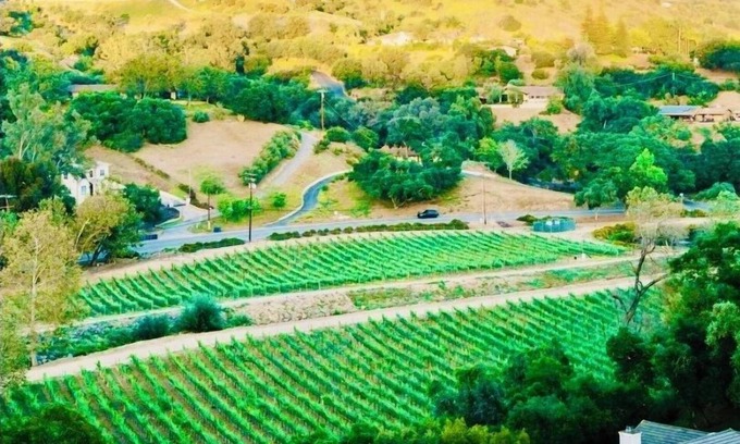 Fallbrook House | Luxury Retreat, views of Monserate Winery