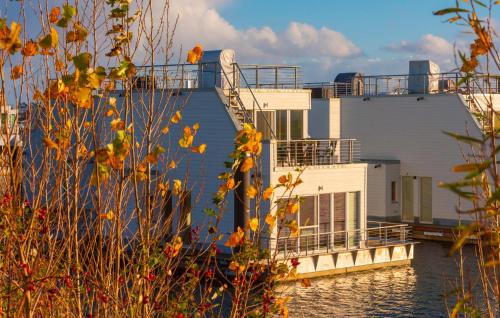 Olpenitz Boat Rental | Möwennest