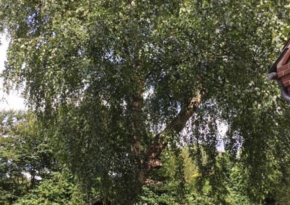 Suederluegum Apartment | Mühlenweg Onkel Fiffi