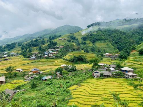 Sa Pa Bed & Breakfast | MƯỜNG HOA Peaceful HOMESTAY & Sapa