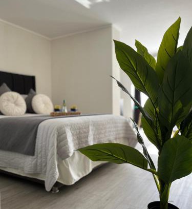 Downtown Santiago Apartment | M&C Departamento Republica 701