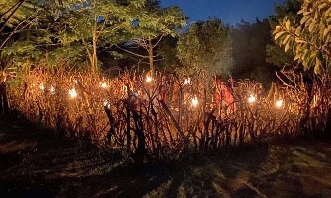 Buwama Cabin | Mabamba Lodge