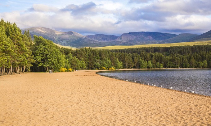 Aviemore Cabin | Macdonald Aviemore Woodland Lodges