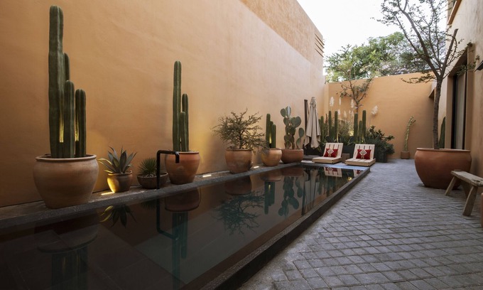 Ruta Independencia Hotel | Macondo Arte Oaxaca