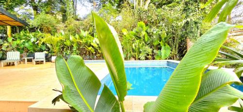 Las Lomas I Villa | Macondo House