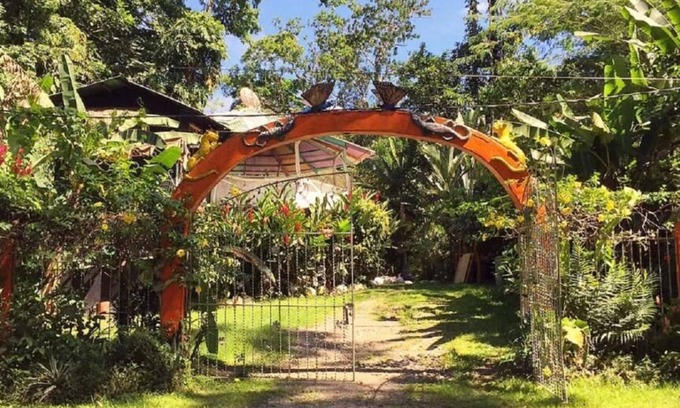 Cocles Hotel | Madre Selva Jungle Hostel