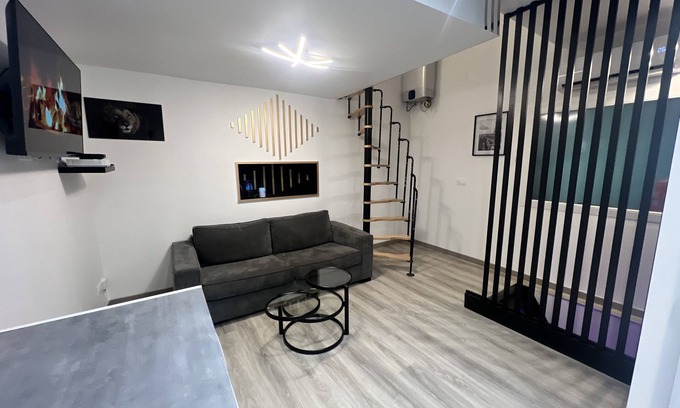 Saint-Etienne House | Maison Appartement Triplex Avec Jacuzzi et Sauna