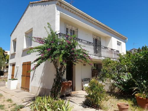 Santa Cruz House | Maison avec jardin