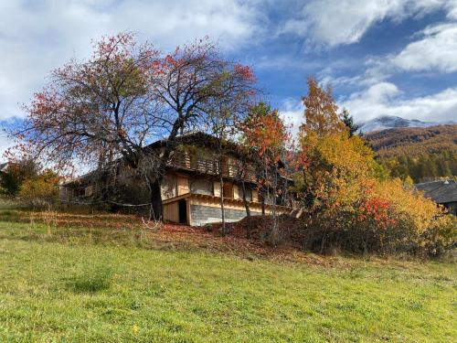 Les Orres Ski Chalet | Maison de montagne Alpes du sud/station Les Orres