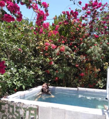 Parrita House | Maison du Bonheur costaricienne sur la plage avec bassin de rafraichissement