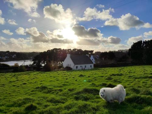 Plouguerneau House | Maison vue mer à Plouguerneau