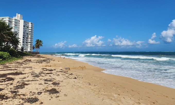 Parque Apartment | Majestic 2-Bedroom Beachside Suite