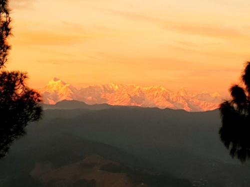 Majkhali House | Majestic View & Misty Morning
