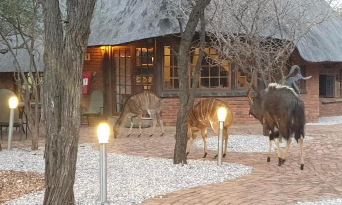 Bela-Bela House | Makhato Bush Lodge 3