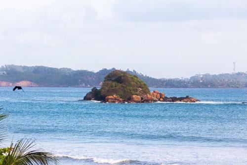 Weligama Hotel | Mama's Weligama