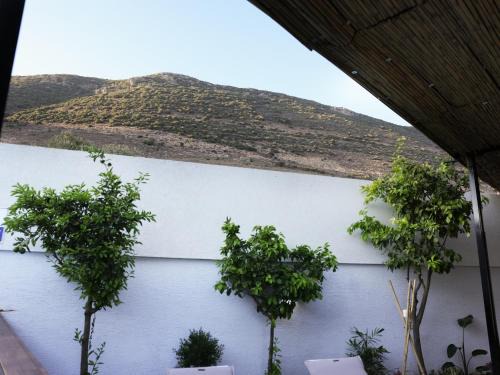 Sajur Apartment | mandla