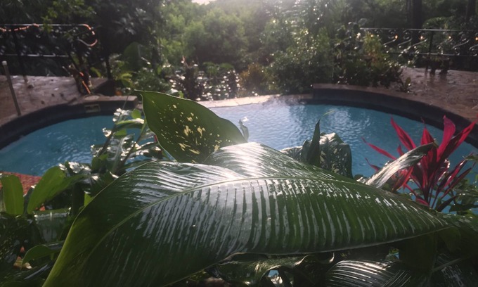 Manuel Antonio Hotel | Mango Moon Villa
