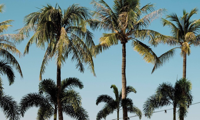 Broome Hotel | Mangrove Hotel