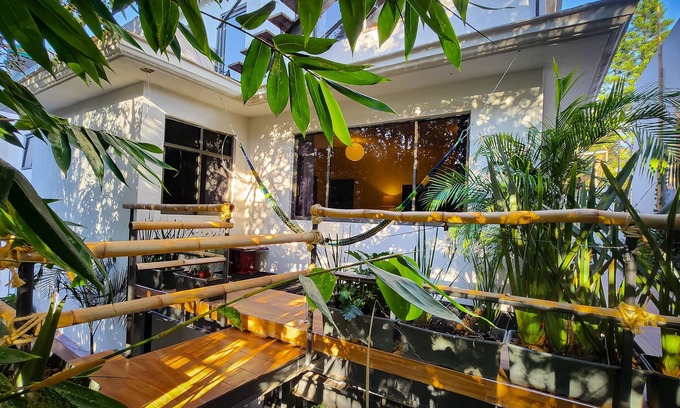 Anahuac House | Mansión Bamboo