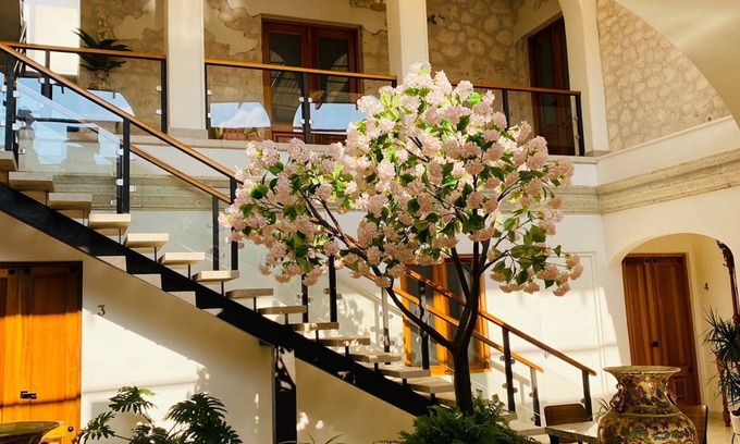 Bernal Hotel | Mansión Leonor