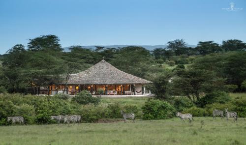 Maasai Mara Other | Mara Major Camp