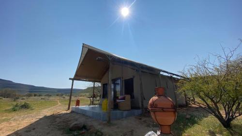 Cederberg Other | Marquee Safari Tent lachenalias