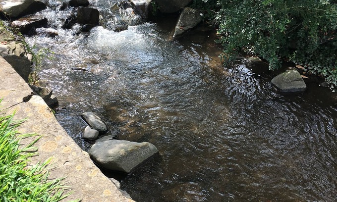 Gatlinburg Hotel | Marshall's Creek Rest Motel