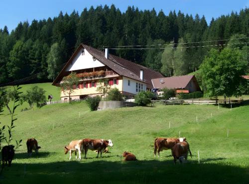 Oberwolfach Apartment | Martinhansenhof Ferienwohnung, 60qm