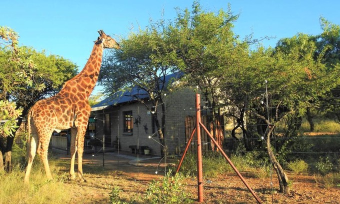 Hammanskraal Cabin | Marulani Bush Lodge