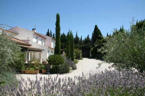 St.-Remy-de-Provence Bed & Breakfast | Mas de l'Estello B&B