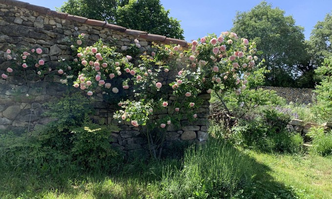 Lambesc Other | Mas en Provence Entièrement Rénové Pour des Vacances Familiales de Rêve