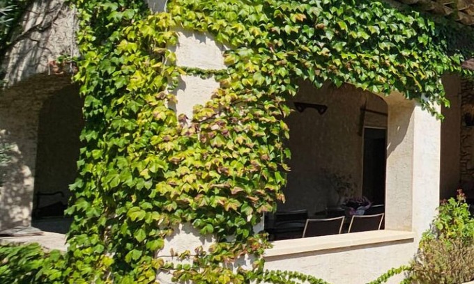 Saint-Cannat Other | Mas for rent in Saint Cannat in a green setting