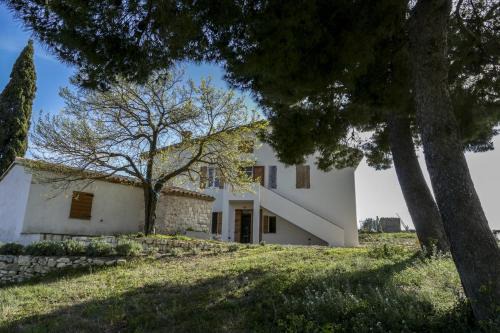Camerano Bed & Breakfast | Massignano 116