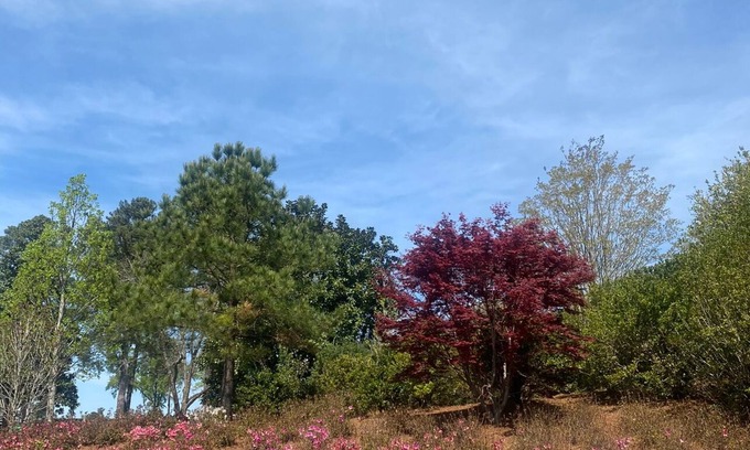 Grovetown Other | Masters rental Luxury Charming 4-bedroom farmhouse with WiFi, AC Grovetown