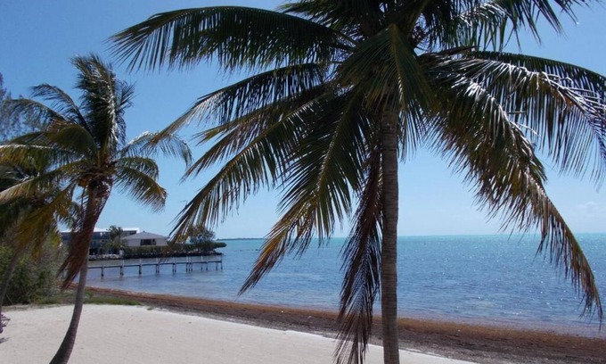 Islamorada Resort | Matecumbe Resort
