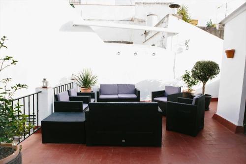 Museo House | Mateo Alemán 22