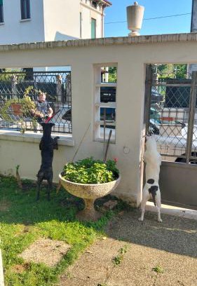 Cittadella Apartment | Mavipagi