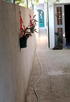 Niksic Apartment | Max24