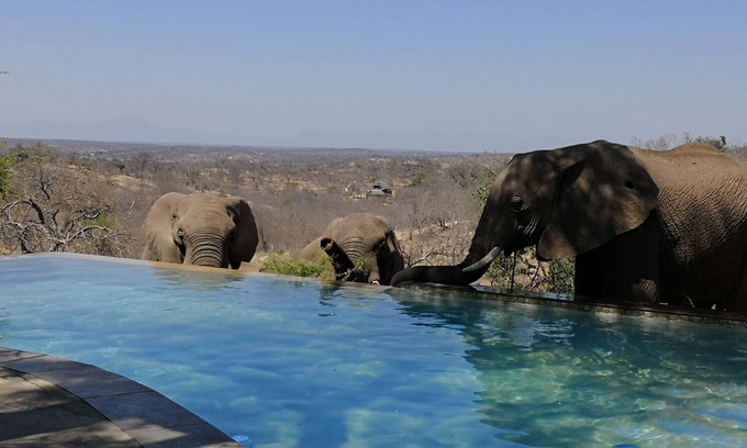 Phalaborwa Cabin | Mbizi Bush Lodge